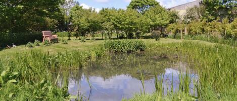 Jardines del alojamiento