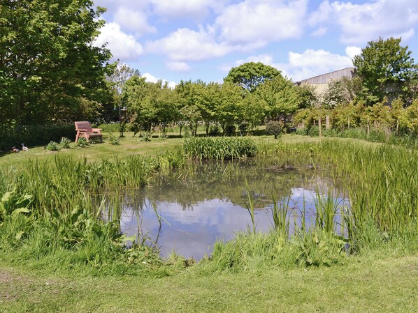 Property grounds - Shyre Stable - 18437 (Bempton, near Flamborough)