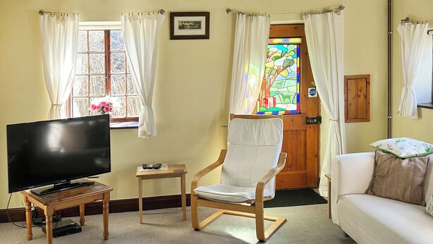 Een woonkamer met een televisie, een houten stoel, een bank en een kleurrijk vloerkleed.