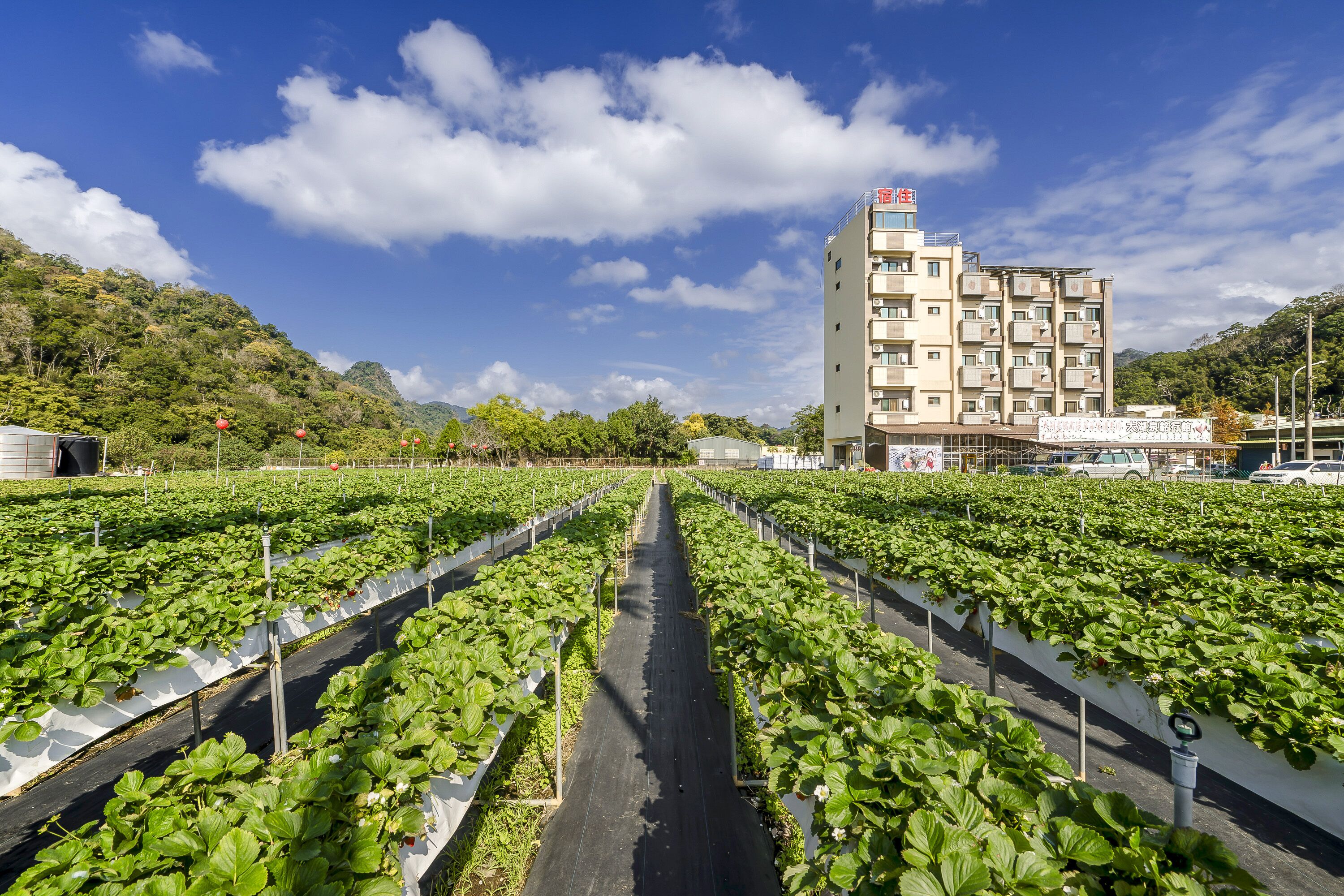 Un immeuble à plusieurs étages doté d’un balcon, entouré de champs verdoyants où les plantes sont disposées en rangées.