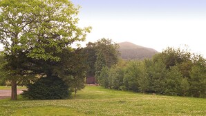 A grassy field with trees and a mountain in the background. - 1 bedroom accommodation in Keswick (Keswick)