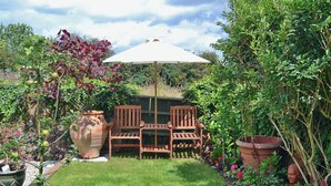 Un jardin avec un banc et une table en bois placés sous un parasol blanc, entourés de plantes en pot et d’un grand vase.