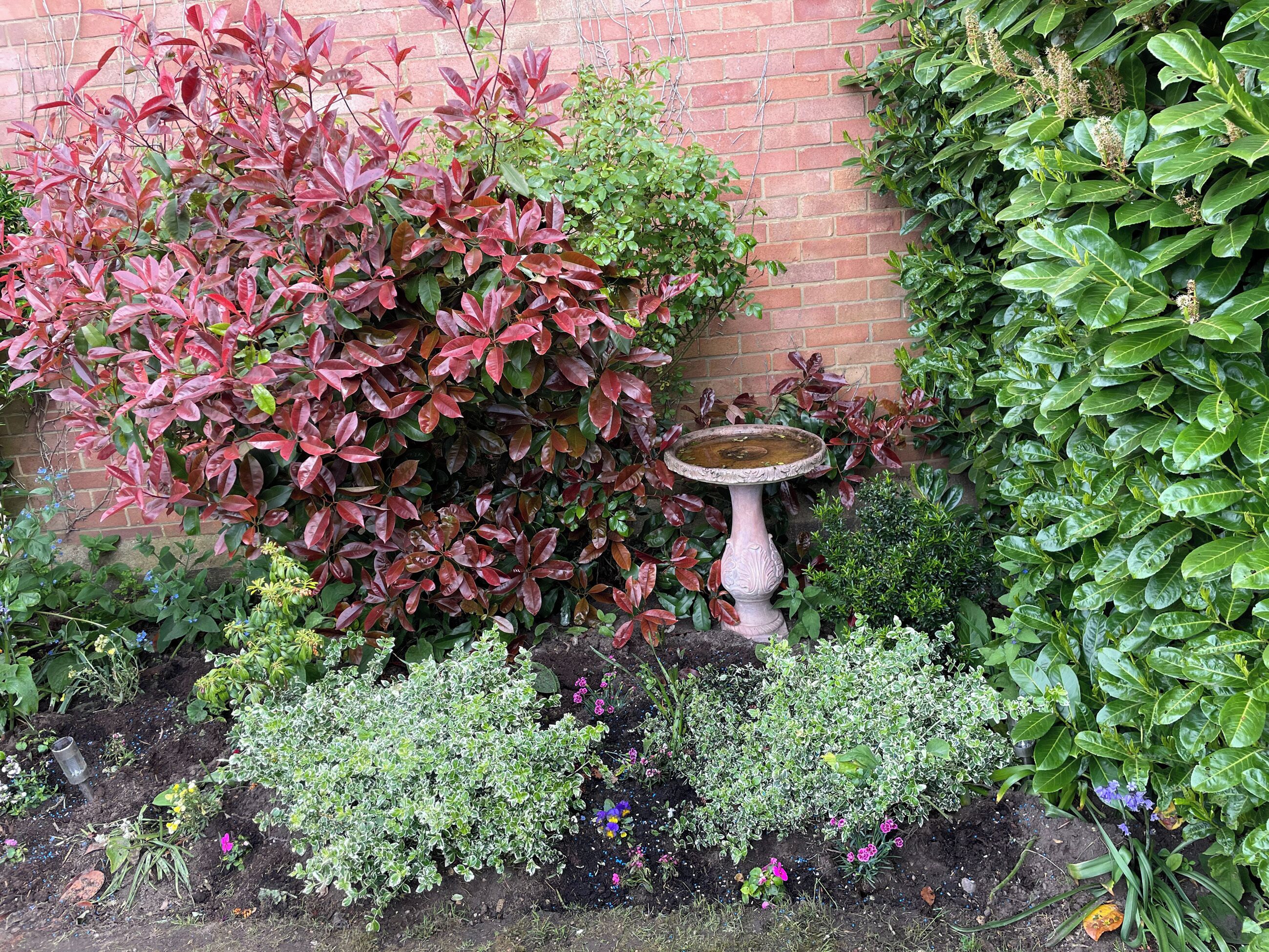 Un jardin avec un abreuvoir pour oiseaux, diverses plantes et un mur en briques.