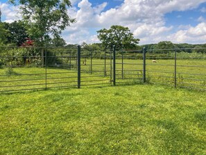 A fenced grassy area with trees and a clear sky.