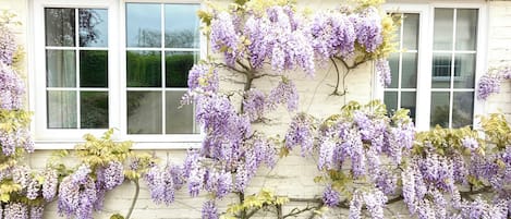 Detalle del exterior