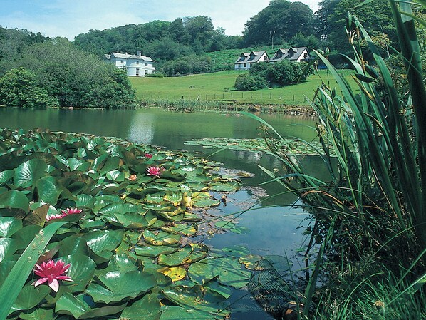 Unclassified image, 1 of 13, button