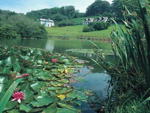 Rosecraddoc Manor - Heron