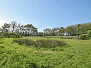 Área da propriedade