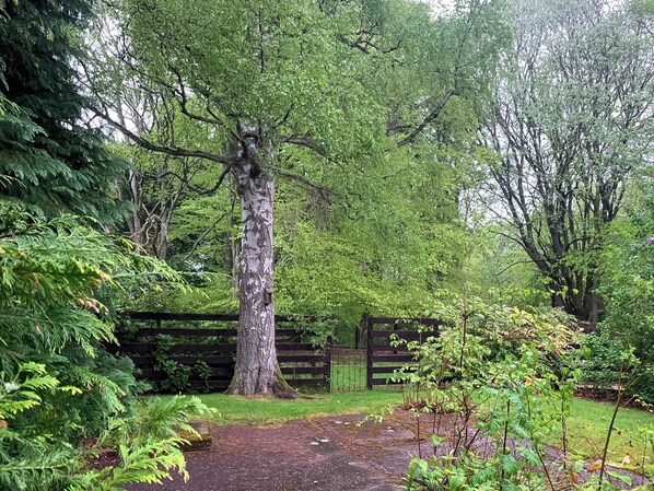 Parco della struttura