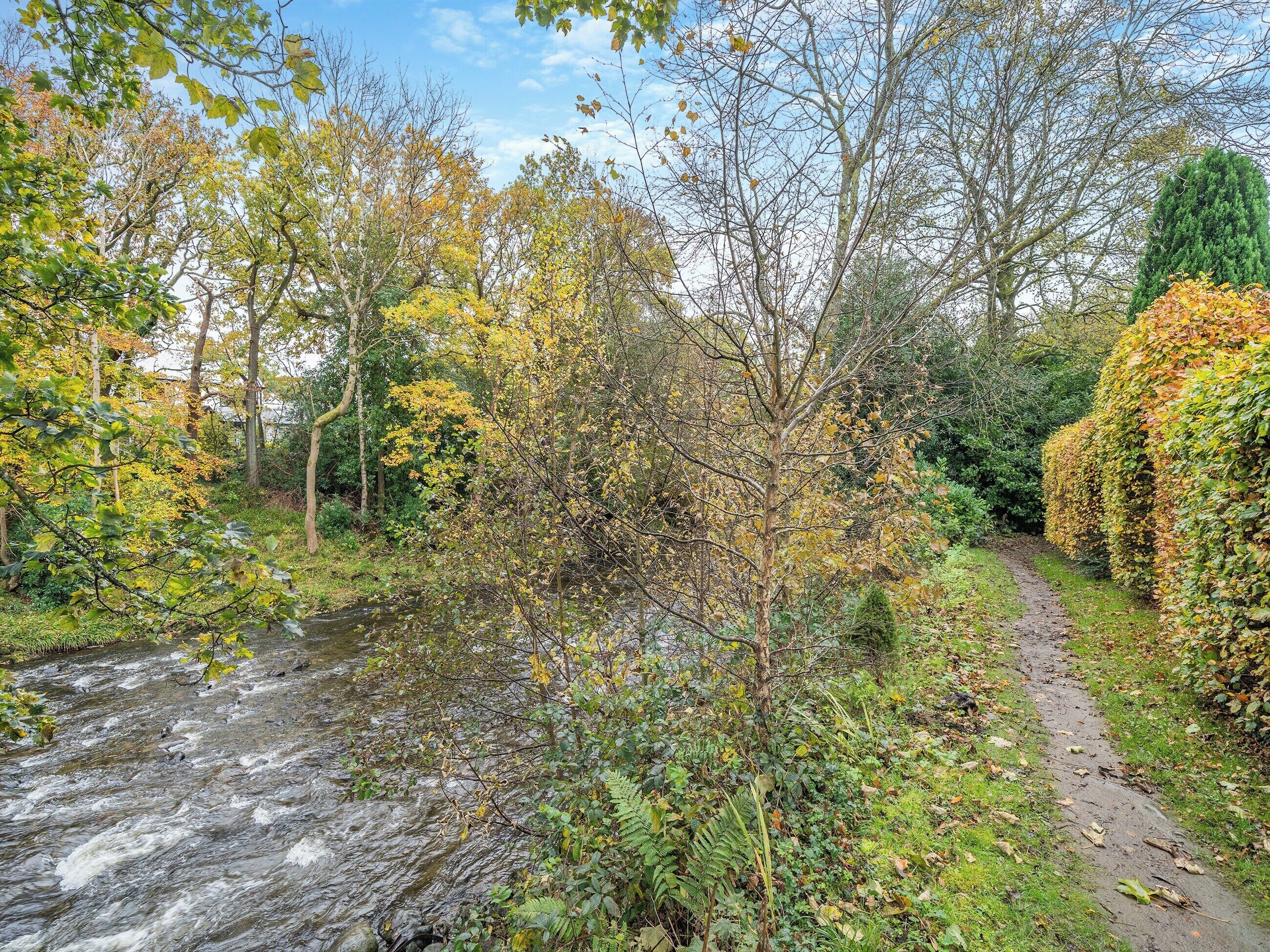 A natural landscape with a flowing stream, surrounded by trees with autumn foliage.