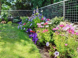 Property grounds - 3 bedroom accommodation in Penrhyndeudraeth (Penrhyndeudraeth)