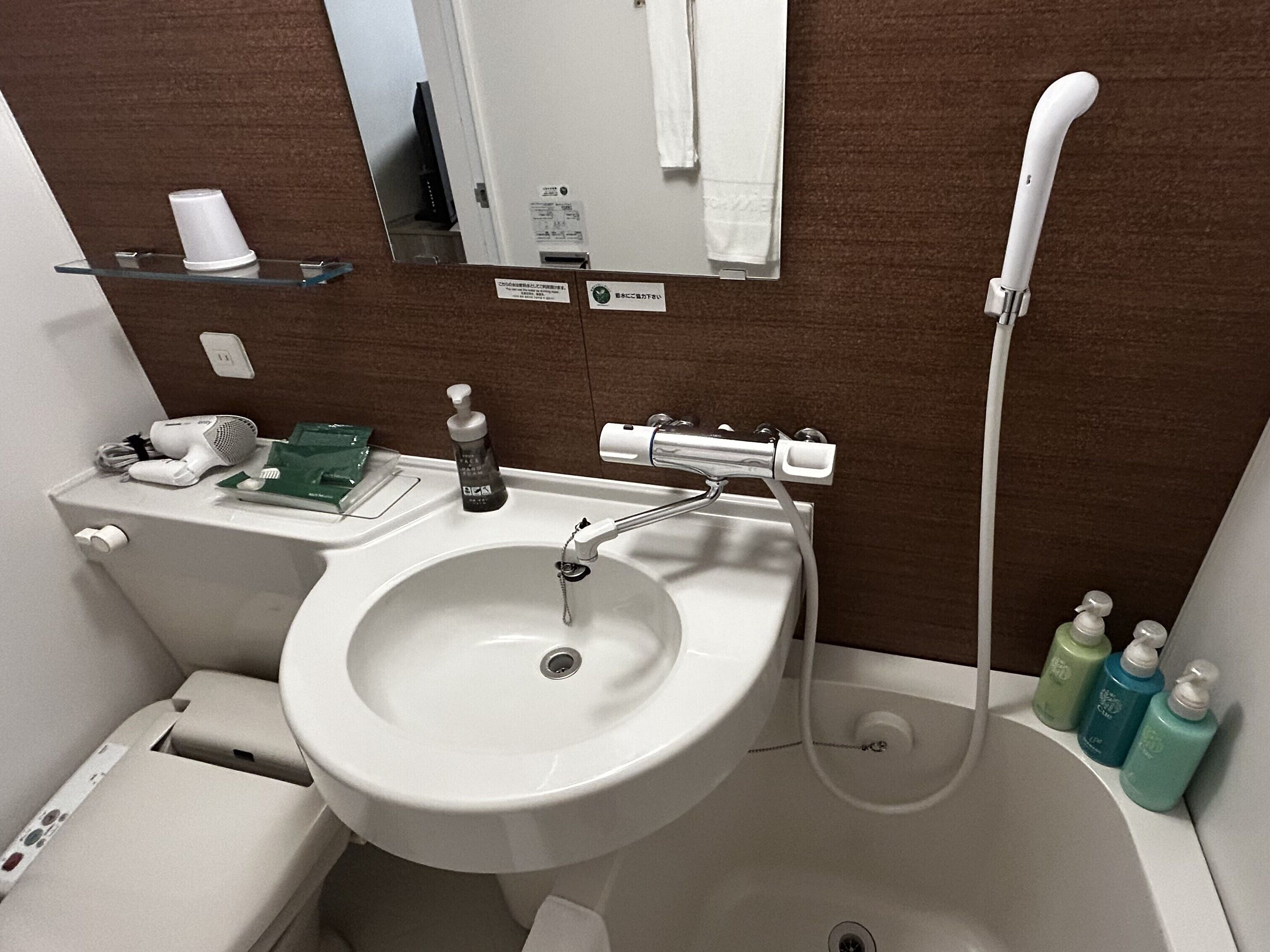 combined shower/bathtub, free toiletries, hair dryer, slippers