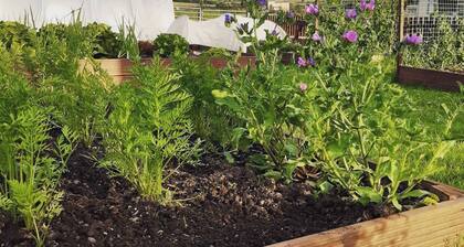 Old Barn Farm Cottage - CC539048