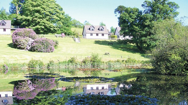 Un cadre paisible au bord d’un lac, avec une maison, une végétation luxuriante et un étang parsemé de nénuphars.