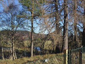 A natural landscape with trees and a fence. - 4 bedroom accommodation in Carrbridge (Carrbridge)
