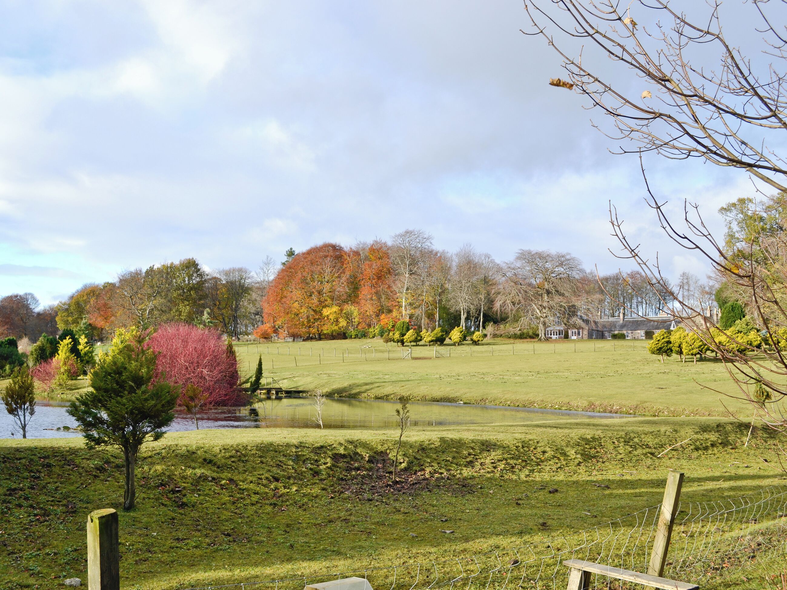 A serene landscape with a pond, a fenced grassy area, and trees with autumn foliage.