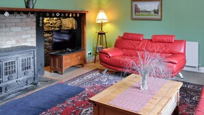 Una sala de estar con chimenea, televisor, sofá de cuero rojo y una alfombra estampada.