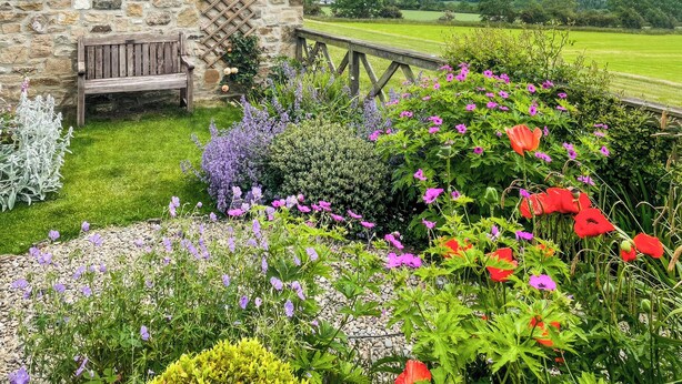 Un edificio in pietra con una panchina di legno e una veletta, immerso in un giardino rigoglioso pieno di fiori e con vista su dolci colline.