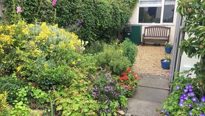 Un jardín con diversos plantas y flores, un camino de piedra, un banco y un cuadro verde de servicios.