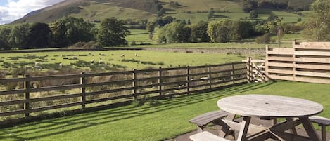 A picnic table with benches, a wooden fence, and a grassy field with sheep.