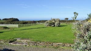 A grassy field with a stone wall and wooden fence, a tree, and a distant view of the ocean.