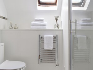 A modern bathroom with a skylight, a toilet, a towel rack, and a glass shower enclosure.