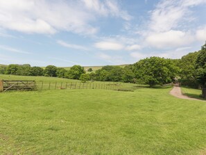 A rural landscape with a dirt path leading through a fenced field, surrounded by trees and hills.