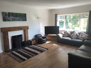 TV, fireplace