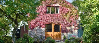 Bryn Dedwydd Cottage