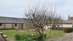A residential area with a house, a garden with daffodils, and a stone bench. - 3 bedroom accommodation in Brighstone (Brighstone)