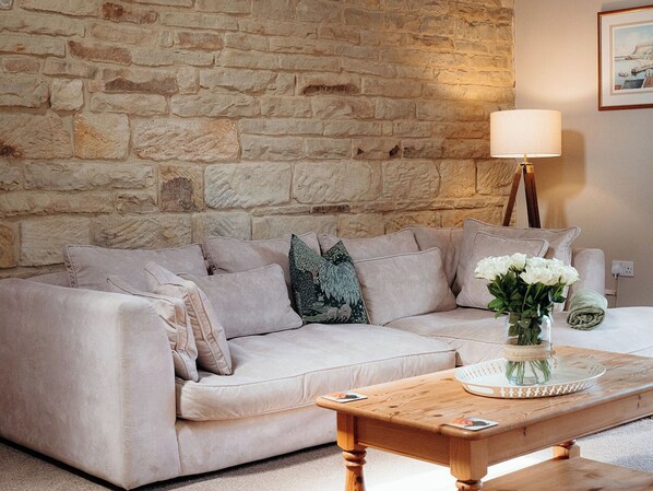TV, fireplace - 4 bedroom accommodation in Sneatonthorpe, near Whitby (Sneatonthorpe, near Whitby)