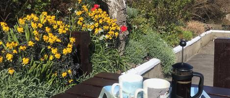 Restauration en plein air