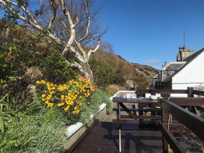 A garden with yellow flowers, a wooden bench, and a white building with a chimney.