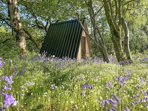 Eine rustikale Holzhütte mit geneigtem Dach, umgeben von einer üppigen Wiese voller Wildblumen.