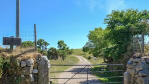 Un portail rustique, avec un mur en pierre et un portail en métal, qui mène à un sentier bordé de verdure, sous un ciel bleu et dégagé.