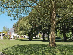 A large tree in a grassy area with houses in the background.