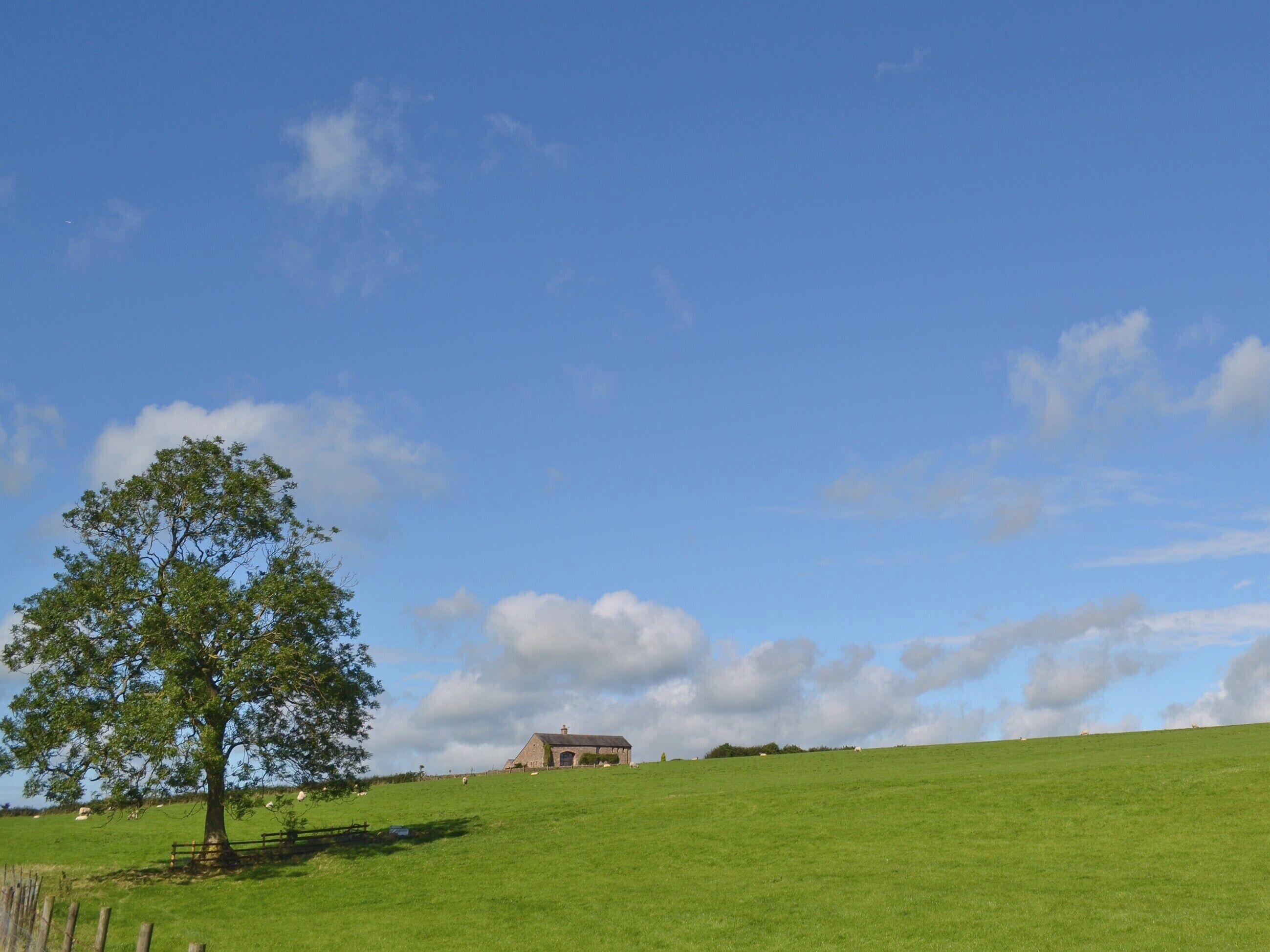 Un paisaje rural con un árbol grande, un edificio de piedra y una colina cubierta de hierba.