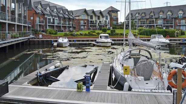 A marina with boats docked, a wooden dock, and a row of residential buildings in the background. - 2 bedroom accommodation in Island Harbour, near Newport (Island Harbour, near Newport)