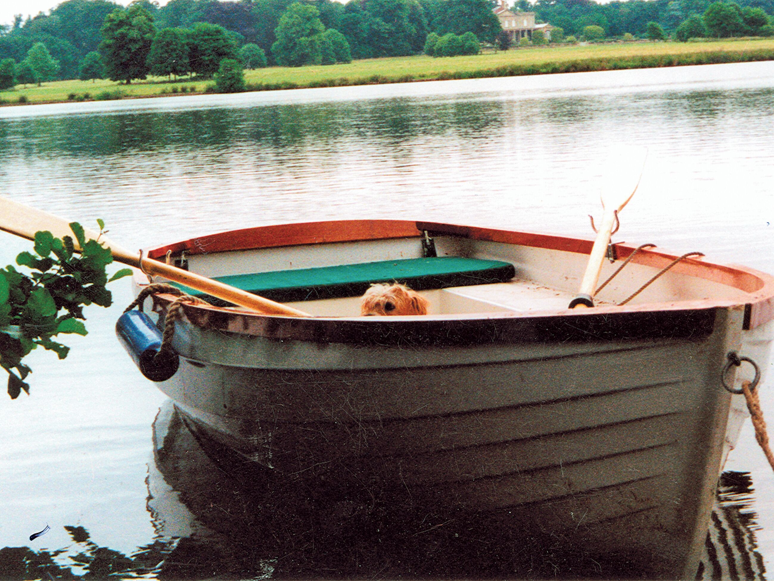 Ein kleines Ruderboot mit einem grünen Kissen und einem Hund darin, an einem ruhigen Fluss vertäut.
