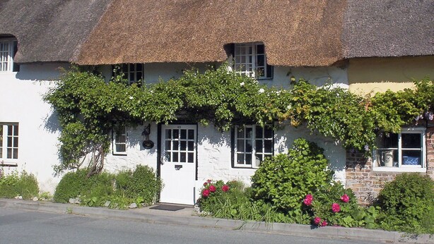 A traditional thatched-roof cottage with a white facade, ivy-covered windows, and a small garden with pink flowers.