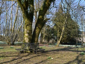 A park with a bench, trees, and a building in the background.