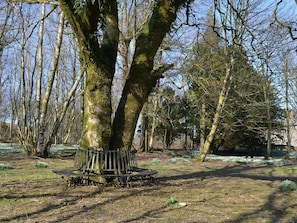 Enceinte de lâhĂ©bergement
