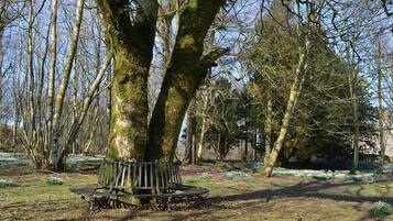 Overnattingsstedets uteområder