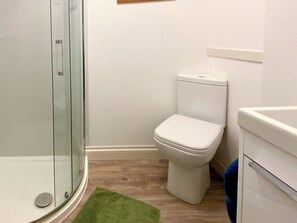 A bathroom with a glass shower enclosure, a white toilet, and a green rug on the floor.