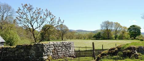 A stone wall, a wooden gate, and a grassy field with trees in the background.
