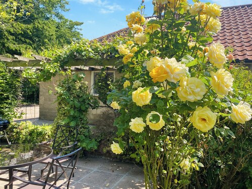 2 bedroom accommodation in Fressingfield