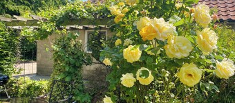 2 makuuhuoneen majoitus Fressingfieldissä