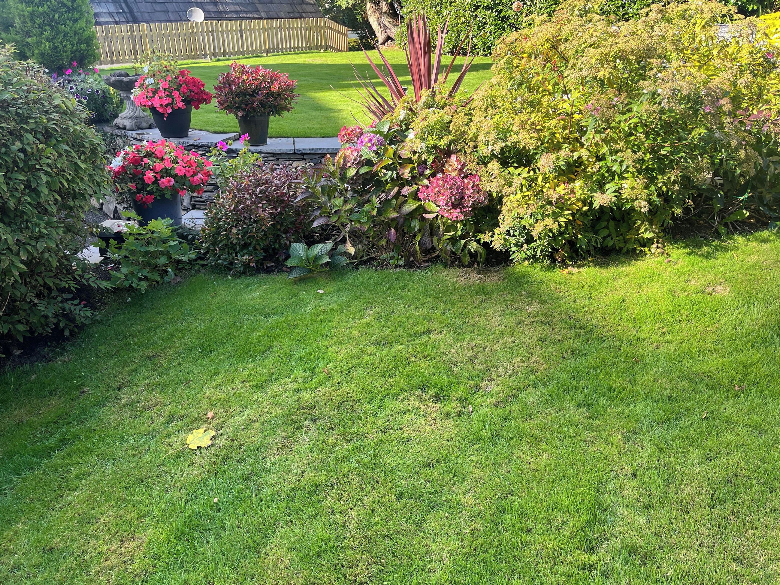 Een verzorgde tuin met diverse planten en gazon.