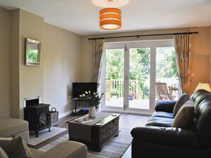 Fernseher, Kamin