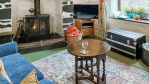 Un salon chaleureux avec une cheminée en pierre, un téléviseur, un panier en osier et une valise ancienne.